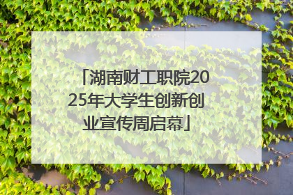 湖南财工职院2025年大学生创新创业宣传周启幕
