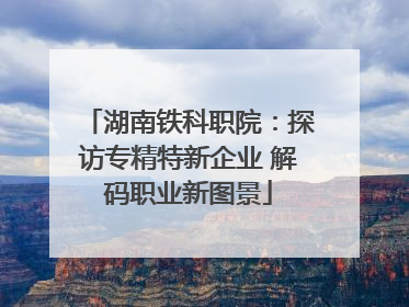 湖南铁科职院：探访专精特新企业 解码职业新图景