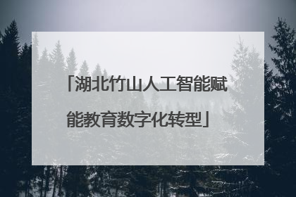 湖北竹山人工智能赋能教育数字化转型
