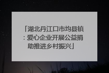 湖北丹江口市均县镇：爱心企业开展公益捐助推进乡村振兴