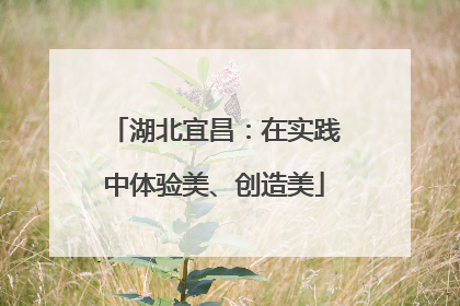 湖北宜昌：在实践中体验美、创造美