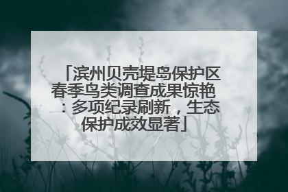 滨州贝壳堤岛保护区春季鸟类调查成果惊艳：多项纪录刷新，生态保护成效显著