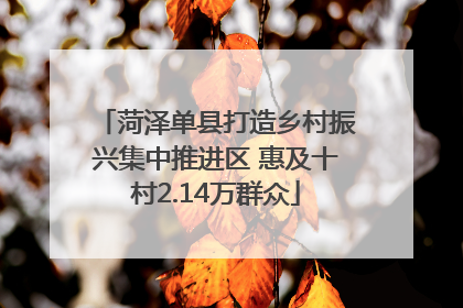 菏泽单县打造乡村振兴集中推进区 惠及十村2.14万群众