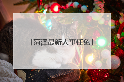 菏泽最新人事任免