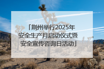 荆州举行2025年安全生产月启动仪式暨安全宣传咨询日活动