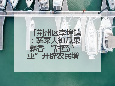 荆州区李埠镇：蔬菜大镇瓜果飘香 “甜蜜产业”开辟农民增收“新赛道”