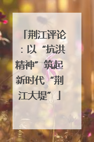 荆江评论：以“抗洪精神”筑起新时代“荆江大堤”