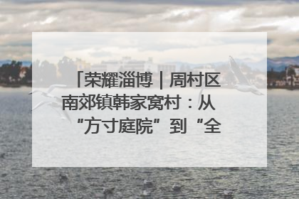 荣耀淄博｜周村区南郊镇韩家窝村：从“方寸庭院”到“全域文明”，乡村振兴的“美学革命”