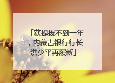 获提拔不到一年，内蒙古银行行长洪少平再履新