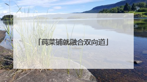 莼菜铺就融合双向道
