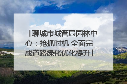 聊城市城管局园林中心：抢抓时机 全面完成道路绿化优化提升