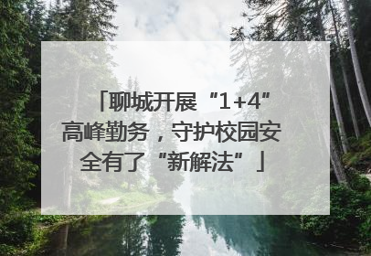 聊城开展“1+4”高峰勤务，守护校园安全有了“新解法”