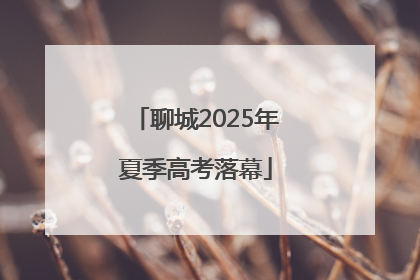 聊城2025年夏季高考落幕