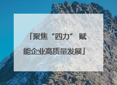 聚焦“四力” 赋能企业高质量发展