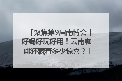 聚焦第9届南博会｜好喝好玩好用！云南咖啡还藏着多少惊喜？