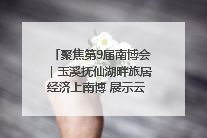 聚焦第9届南博会｜玉溪抚仙湖畔旅居经济上南博 展示云南生活新样本