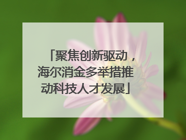 聚焦创新驱动，海尔消金多举措推动科技人才发展