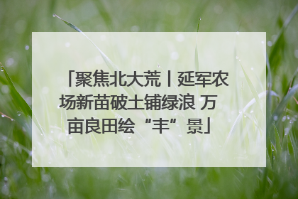 聚焦北大荒丨延军农场新苗破土铺绿浪 万亩良田绘“丰”景