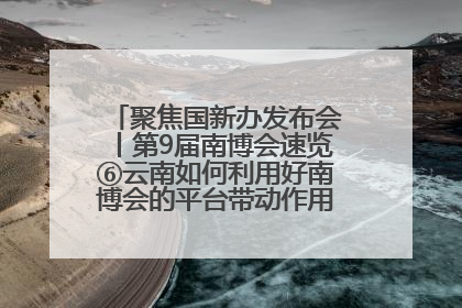 聚焦国新办发布会丨第9届南博会速览⑥云南如何利用好南博会的平台带动作用，深化与南亚国家的交流与合作？