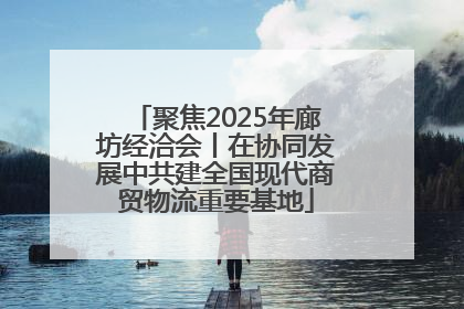 聚焦2025年廊坊经洽会丨在协同发展中共建全国现代商贸物流重要基地
