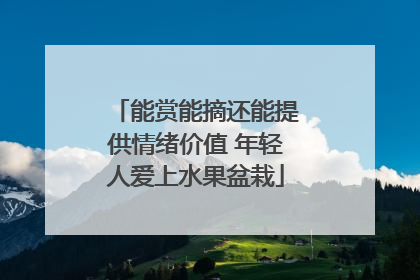 能赏能摘还能提供情绪价值 年轻人爱上水果盆栽