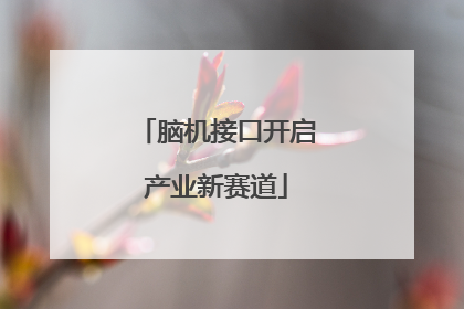 脑机接口开启产业新赛道