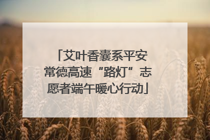 艾叶香囊系平安 常德高速“路灯”志愿者端午暖心行动