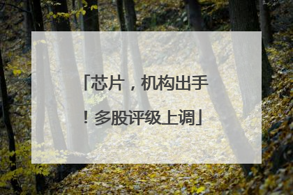 芯片，机构出手！多股评级上调