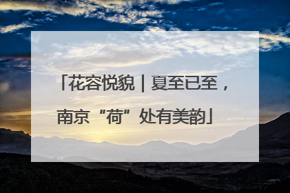 花容悦貌｜夏至已至，南京“荷”处有美韵
