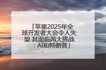 苹果2025年全球开发者大会令人失望 其面临两大挑战：AI和特朗普