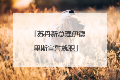 苏丹新总理伊德里斯宣誓就职