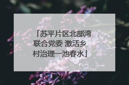 苏平片区北部湾联合党委 激活乡村治理一池春水