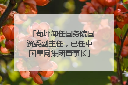 苟坪卸任国务院国资委副主任，已任中国星网集团董事长