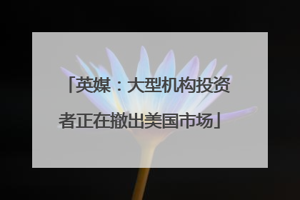 英媒：大型机构投资者正在撤出美国市场