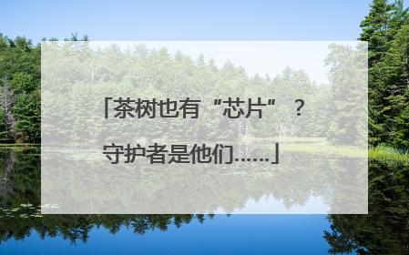 茶树也有“芯片”？守护者是他们……