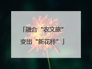 融合“农文旅” 变出“新花样”