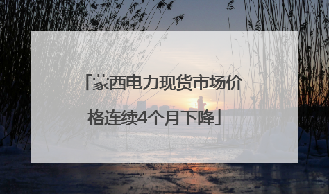 蒙西电力现货市场价格连续4个月下降