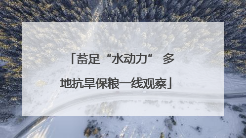 蓄足“水动力” 多地抗旱保粮一线观察