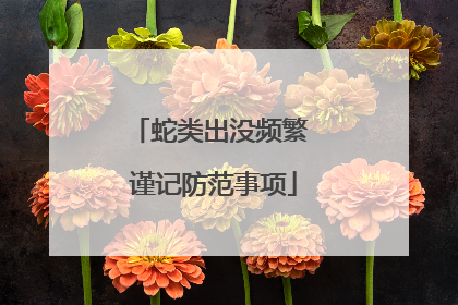蛇类出没频繁 谨记防范事项