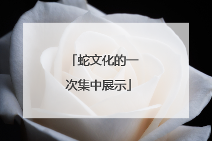 蛇文化的一次集中展示