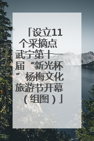 设立11个采摘点 武宁第十一届“新光杯”杨梅文化旅游节开幕（组图）