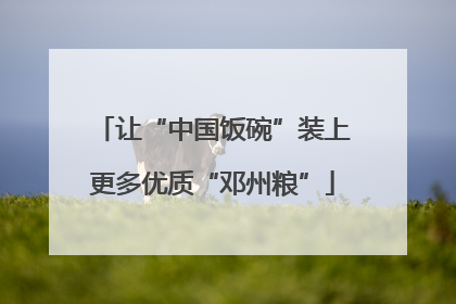 让“中国饭碗”装上更多优质“邓州粮”