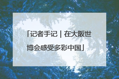 记者手记｜在大阪世博会感受多彩中国