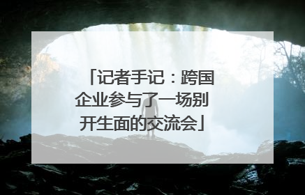 记者手记：跨国企业参与了一场别开生面的交流会