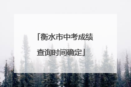 衡水市中考成绩查询时间确定