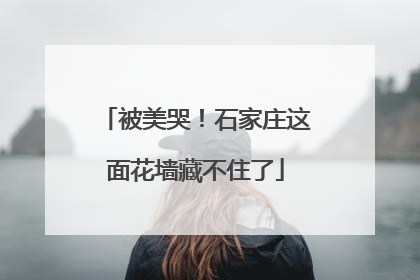 被美哭！石家庄这面花墙藏不住了