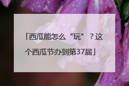 西瓜能怎么“玩”？这个西瓜节办到第37届