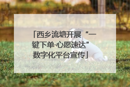 西乡流塘开展“一键下单·心愿速达”数字化平台宣传