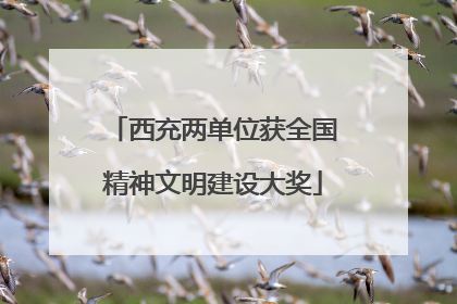 西充两单位获全国精神文明建设大奖
