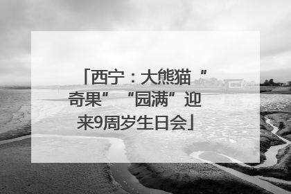 西宁：大熊猫“奇果”“园满”迎来9周岁生日会